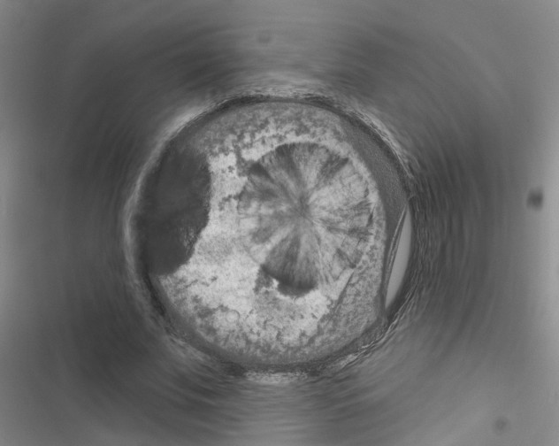 X0000116550679201001211202