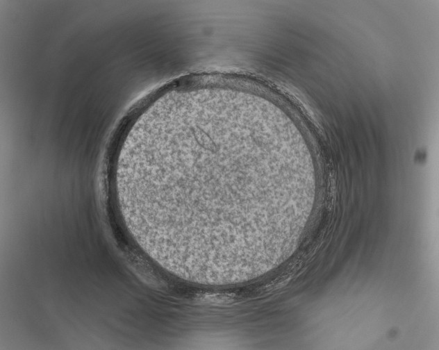 X0000116550680201001211202