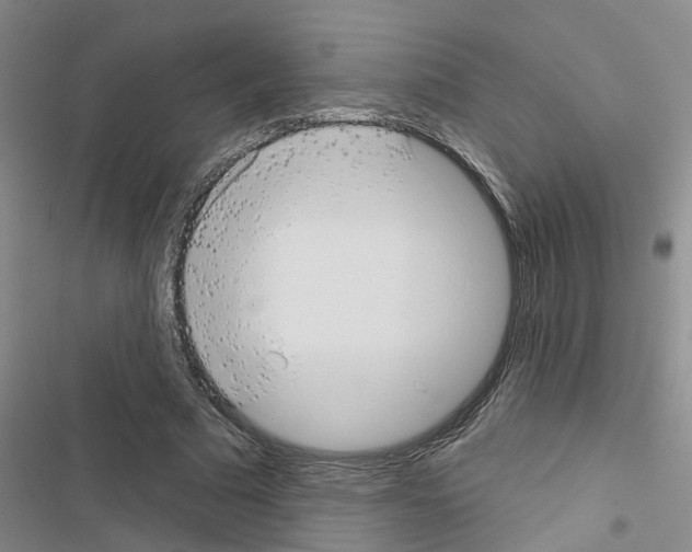 X0000116550681201001211202