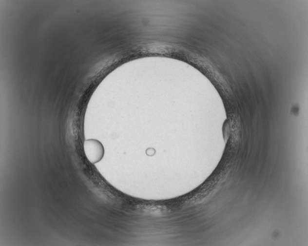 X0000116550683201001211202