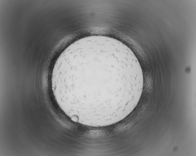 X0000116550686201001211202