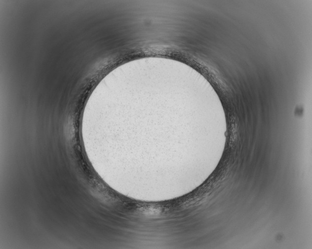 X0000116550687201001211202