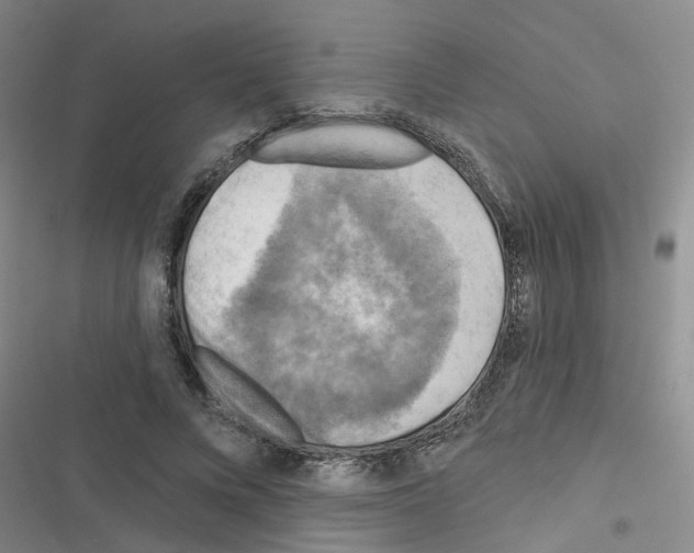 X0000116550688201001211202