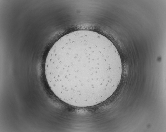 X0000116550690201001211202