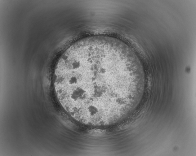 X0000116550691201001211202