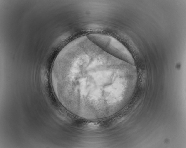 X0000116550692201001211202