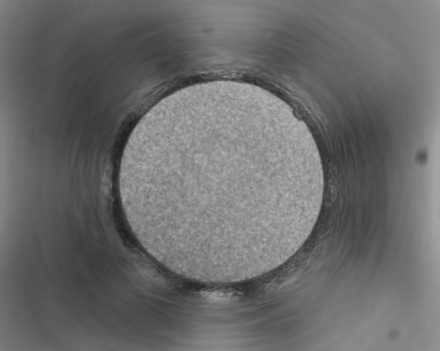 X0000116550693201001211202