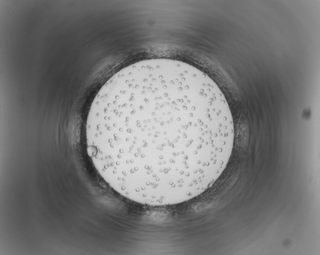 X0000116550694201001211202