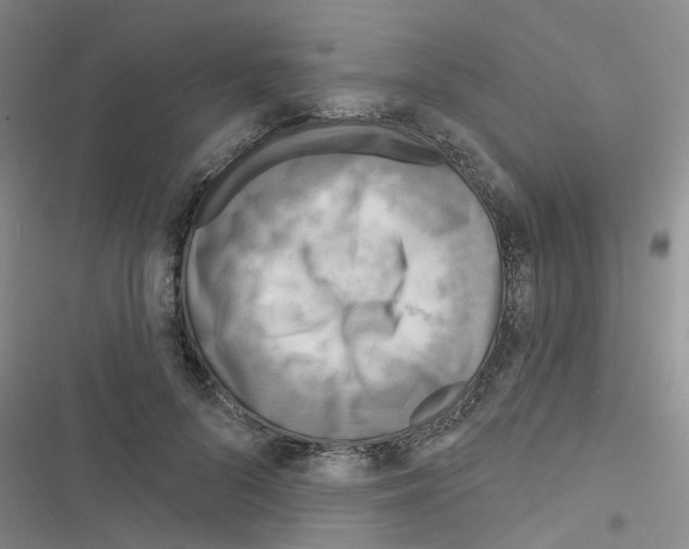 X0000116550696201001211202