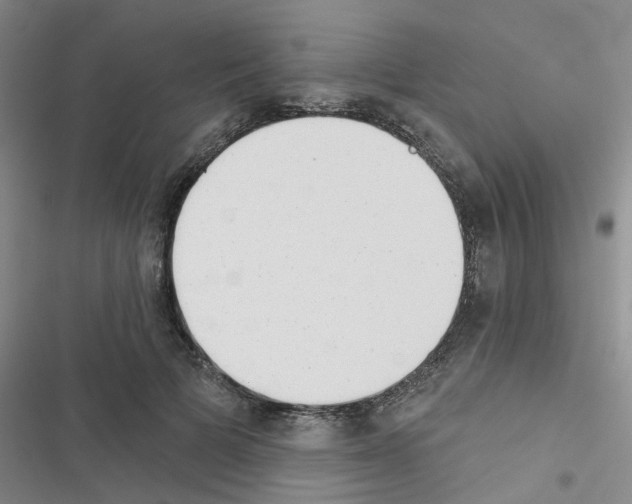 X0000116550697201001211202