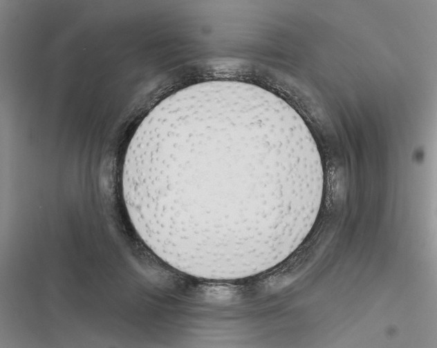 X0000116550698201001211202