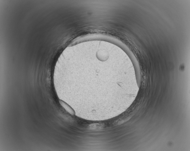 X0000116550700201001211202