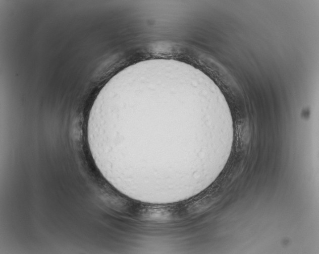 X0000116550702201001211202