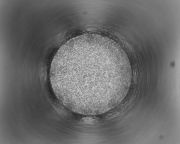 X0000116550703201001211202