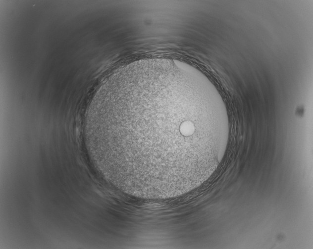 X0000116550704201001211202