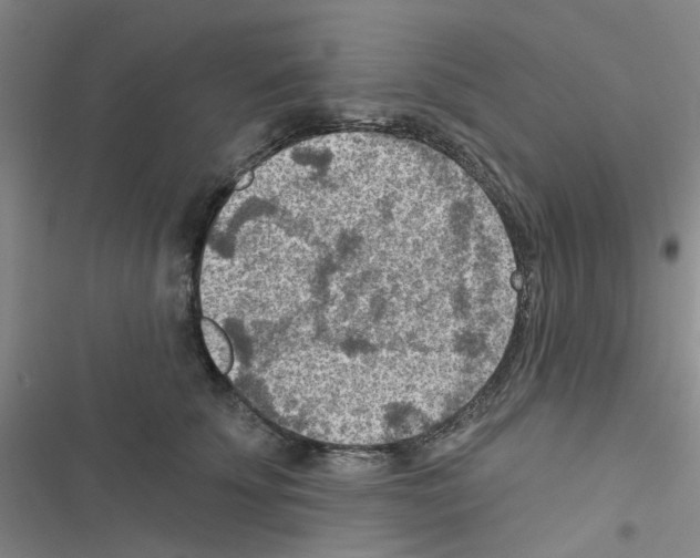 X0000116550707201001211202