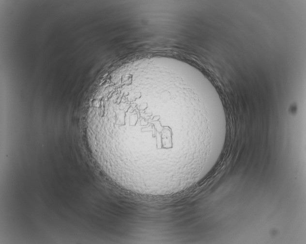 X0000116550709201001211202