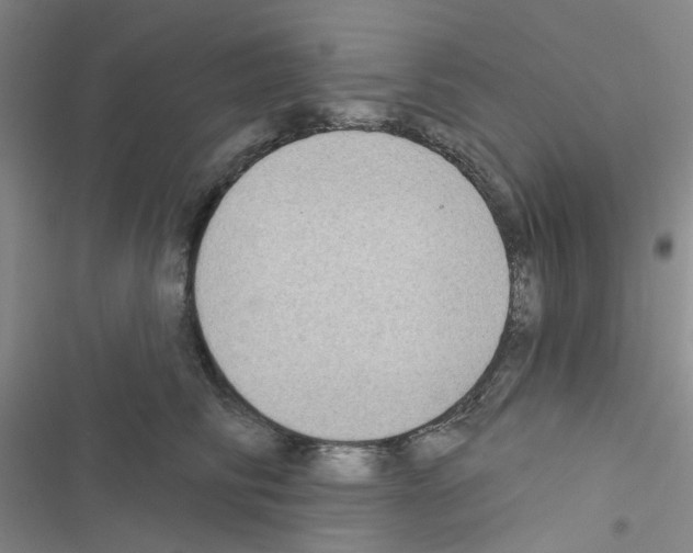 X0000116550710201001211202