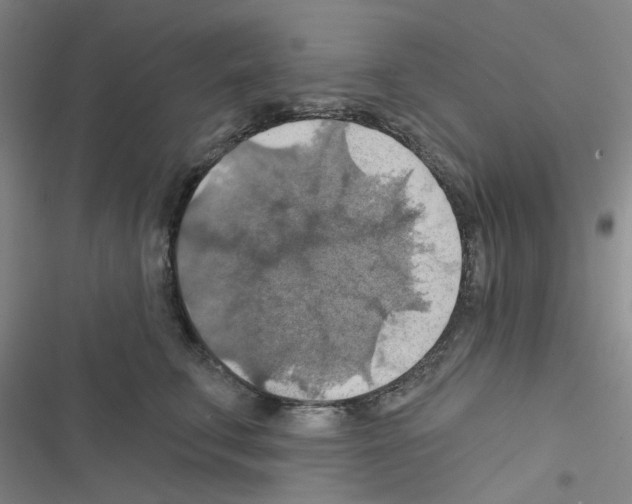 X0000116550711201001211202