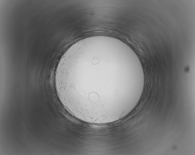 X0000116550713201001211202