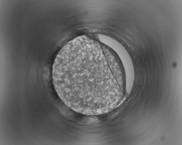 X0000116550715201001211202