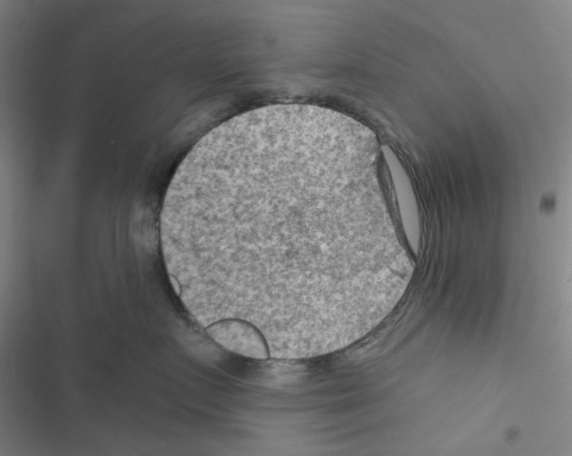 X0000116550719201001211202