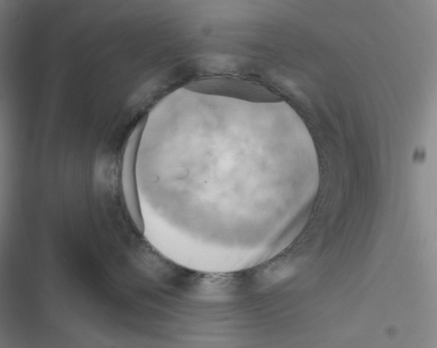 X0000116550720201001211202