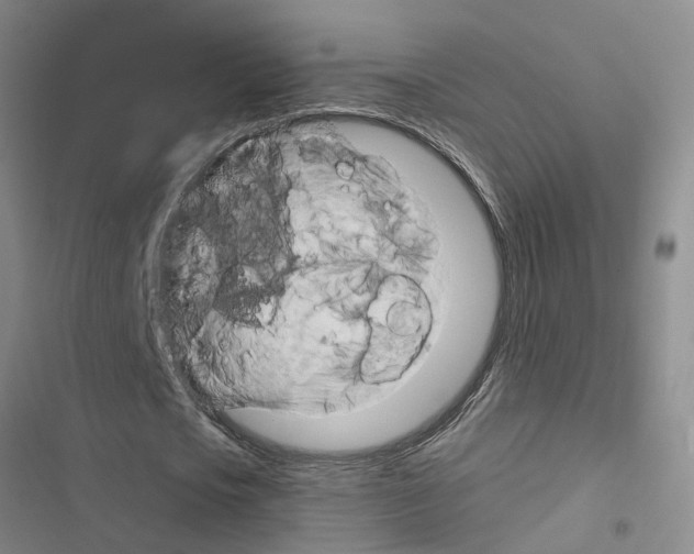 X0000116550721201001211201