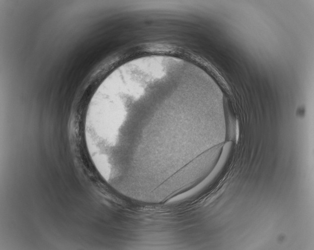 X0000116550723201001211201