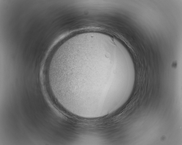 X0000116550726201001211201