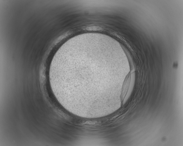 X0000116550727201001211201