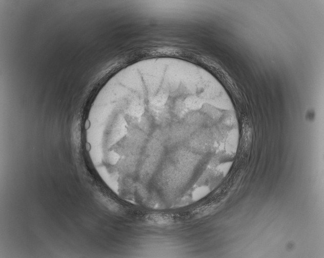 X0000116550729201001211201