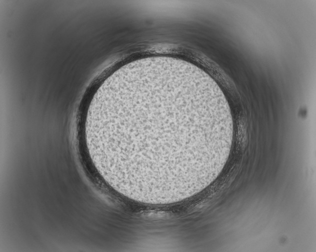 X0000116550730201001211201