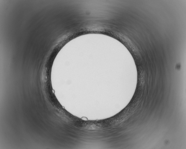 X0000116550731201001211201