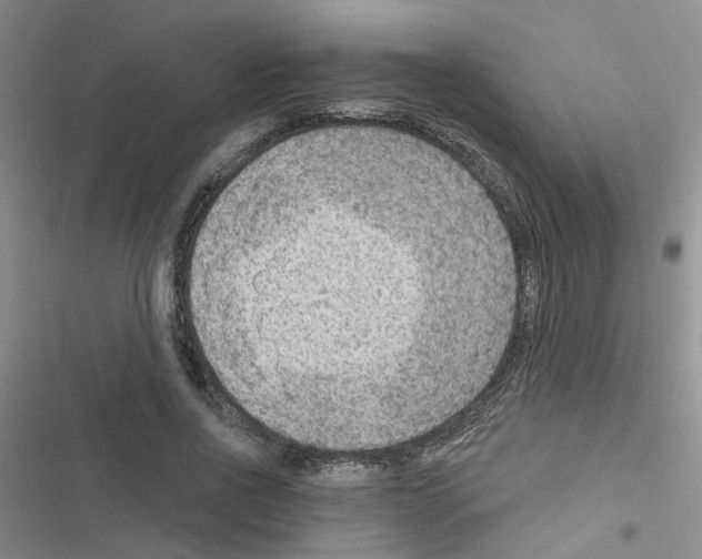 X0000116550734201001211201