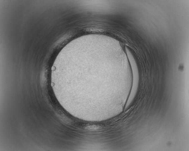 X0000116550735201001211201