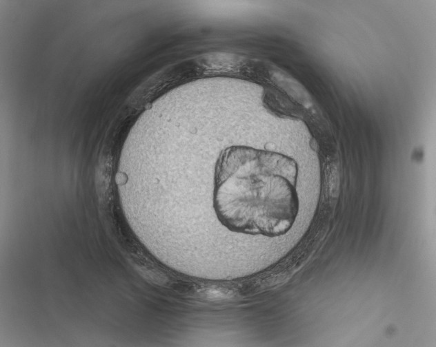 X0000116550737201001211201