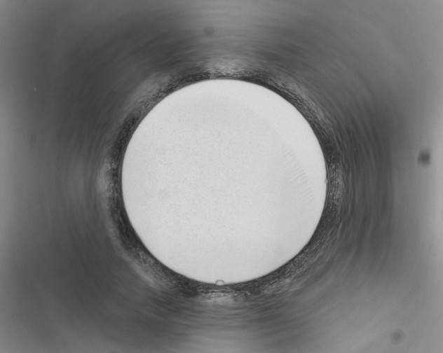 X0000116550738201001211201