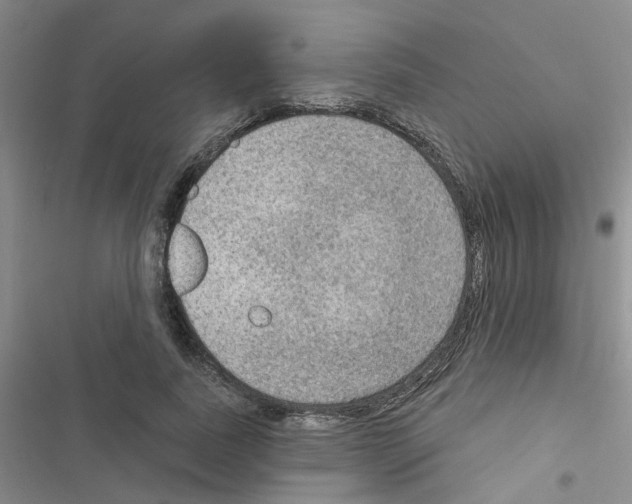 X0000116550739201001211201