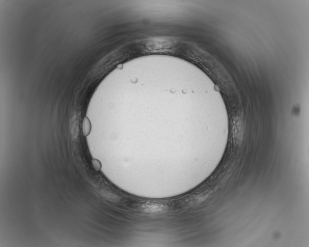 X0000116550741201001211201