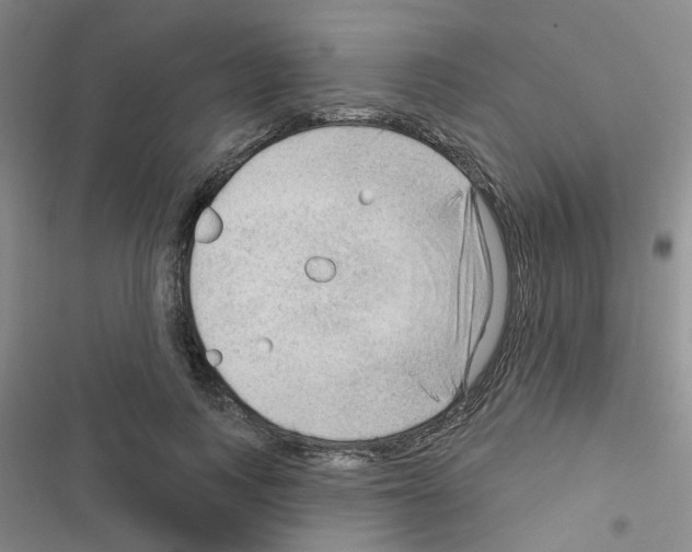 X0000116550743201001211201