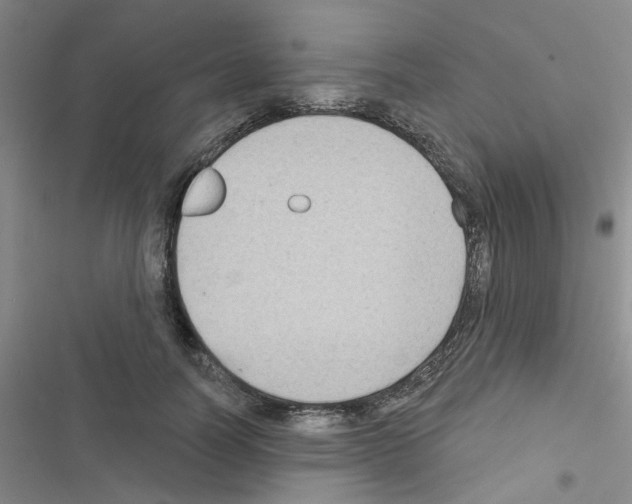 X0000116550746201001211201