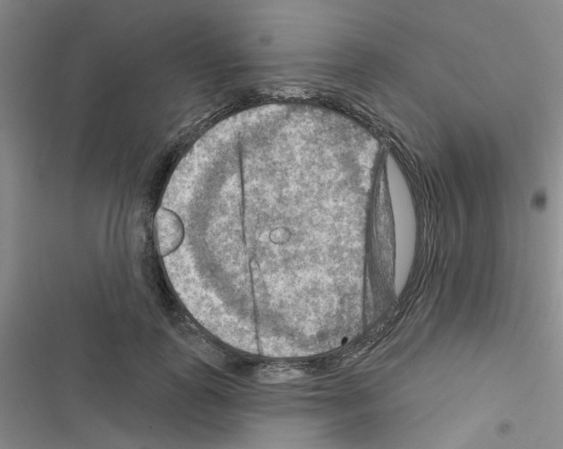 X0000116550747201001211201