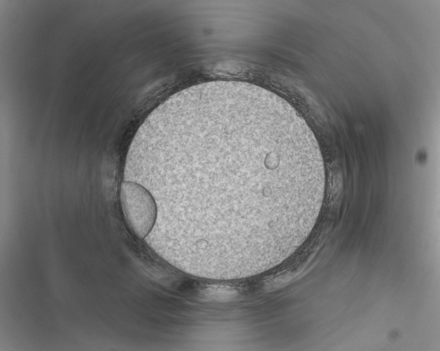 X0000116550749201001211201