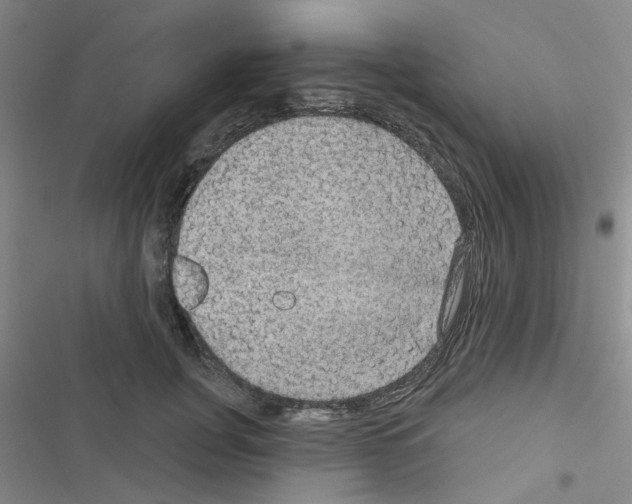 X0000116550751201001211201