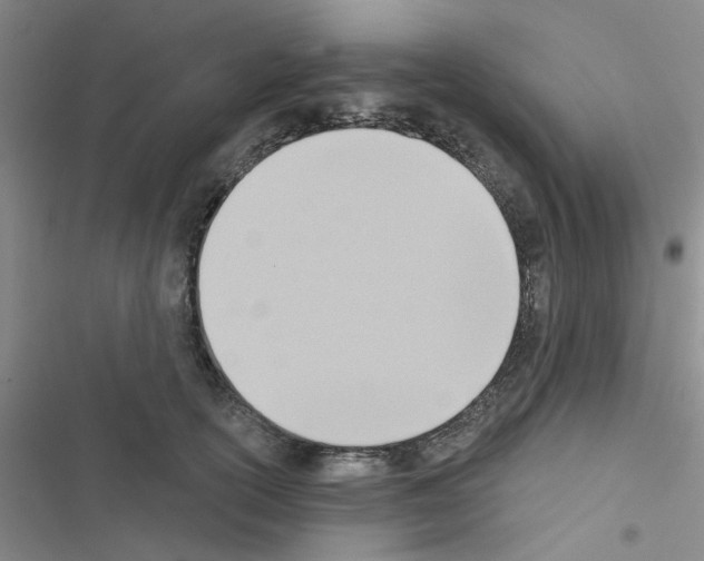 X0000116550754201001211201