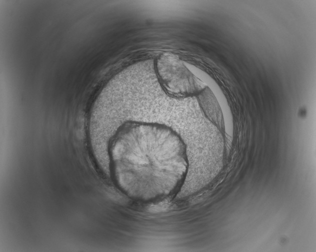 X0000116550757201001211201