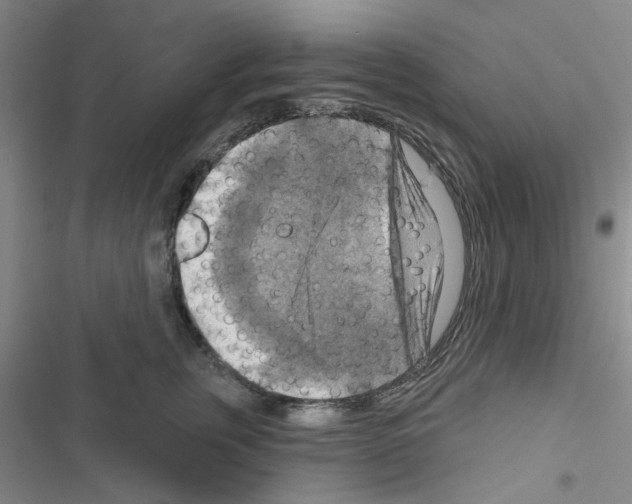 X0000116550759201001211201