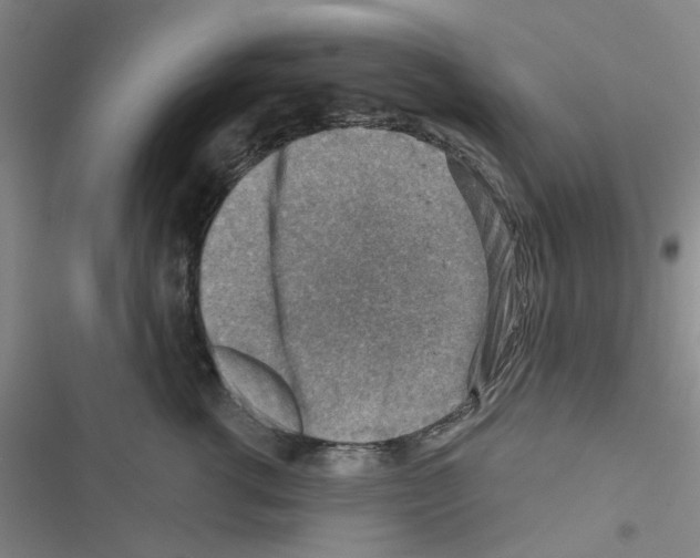 X0000116550762201001211201