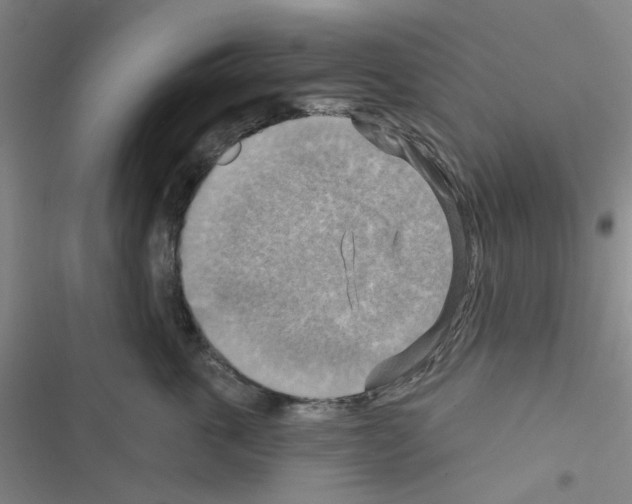 X0000116550763201001211201